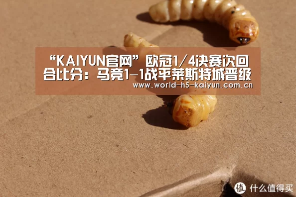开云体育直播