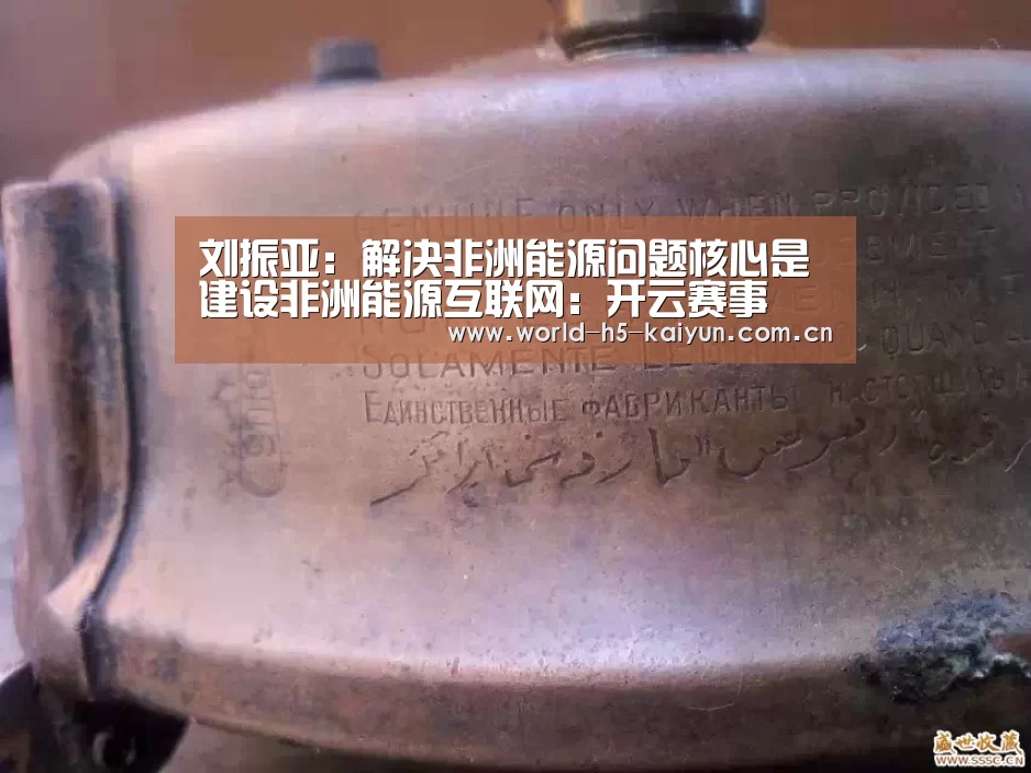 刘振亚：解决非洲能源问题核心是建设非洲能